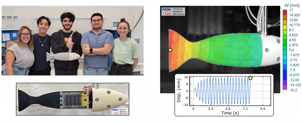 a) Members of the FASt lab holding the soft robotic fish, Nebula. (b) The robotic fish without its silicone body. (c) Experimentally measured body deformations